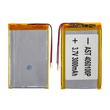 4060100P УНІВЕРСАЛЬНИЙ АКУМУЛЯТОР з контролером, 4 х 60 х 100 мм (3000 mAh)/ для смартфона, планшета