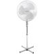 Esperanza Stand Fan, 220V, 50W, White, EHF001WW