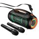 Акустика-караоке HOCO Cool light RGB BT Speaker DS67 IPX5 | black