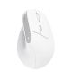 Мышь Trust Bayo 2 Ergonomic Wireless White (25398) Мышь Trust Bayo 2 Ergonomic Wireless White (25398)
