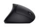 Мышь Trust Verto Wireless Ergonomic Mouse (22879) Мышь Trust Verto Wireless Ergonomic Mouse (22879)