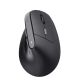 Миша Trust Bayo 2 Ergonomic WL Black (25145) Миша Trust Bayo 2 Ergonomic WL Black (25145)