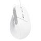 Миша Trust Bayo 2 Ergonomic White (25397) Миша Trust Bayo 2 Ergonomic White (25397)